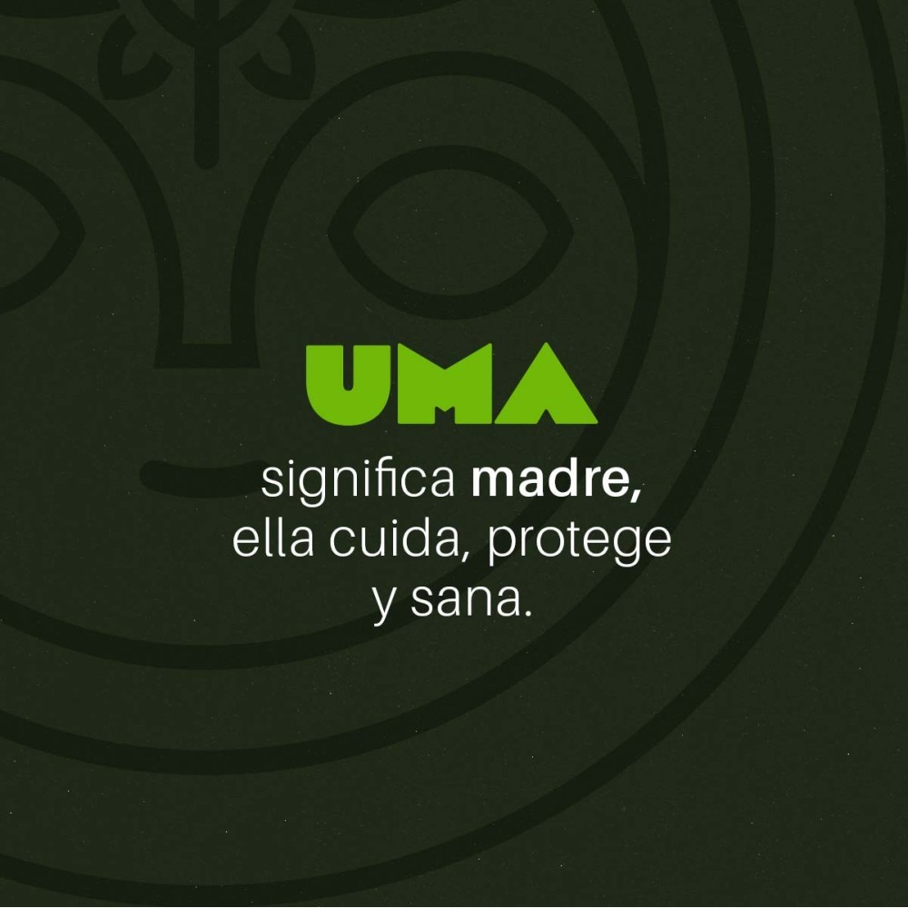 Ungüento de Coca y Marihuana | Coca Nasa