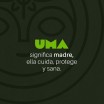 Ungüento de Coca y Marihuana | Coca Nasa
