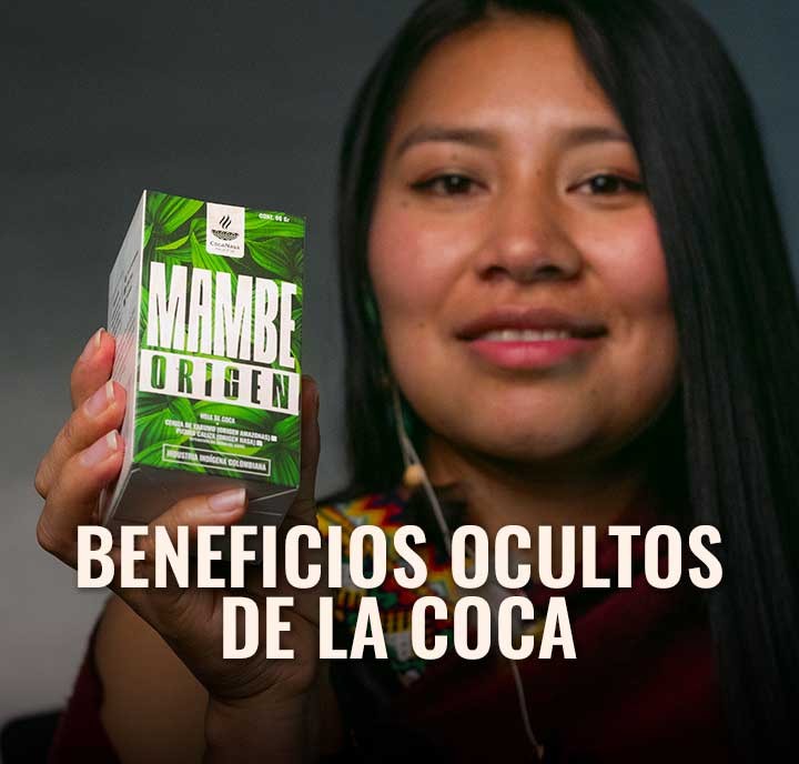 ¿Qué vitaminas posee la hoja de coca y cómo te benefician?