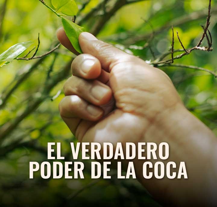 Más Allá de la Cocaína: El Poder de la Hoja de Coca