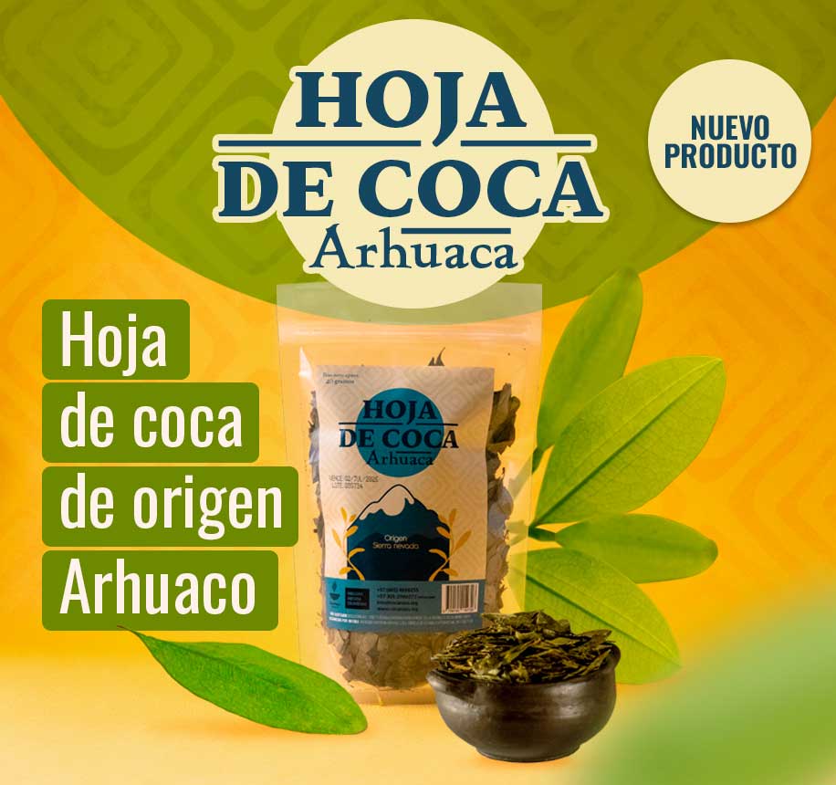 Hoja-de-coca-Arhuaca--Webmobil-2